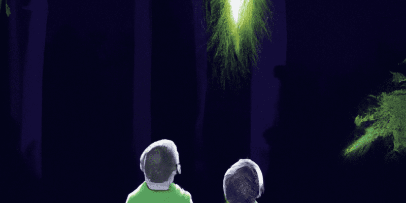 A picture of two brothers standing in a forest, looking up at a glowing meteorite in the night sky.