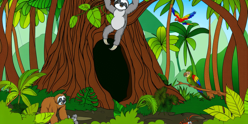 [Image prompt: A lush, green rainforest with a sloth hanging from a tree branch, surrounded by other curious animals. In the distance, a mysterious, ancient tree with a hollow trunk can be seen.]